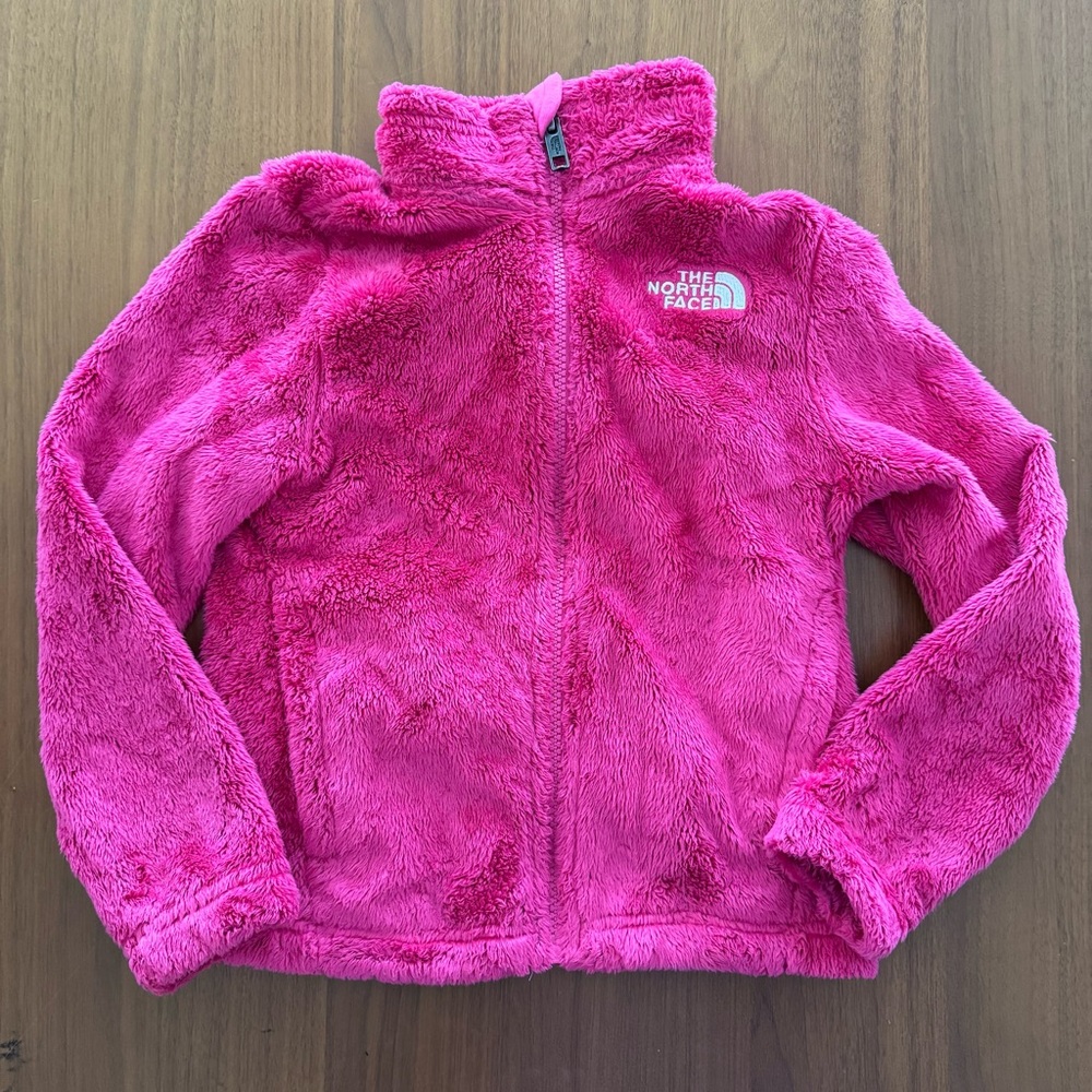 The North Face Vibrant Pink Fleece Jacket
